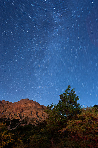 savadkouh trees night